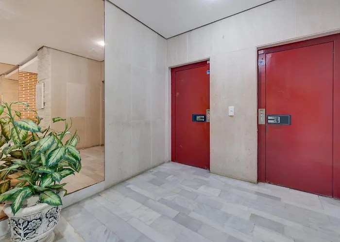 Concordia Torrevieja